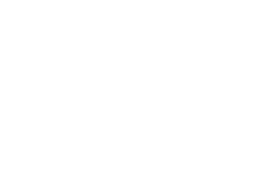 rapidinho