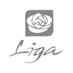 liga